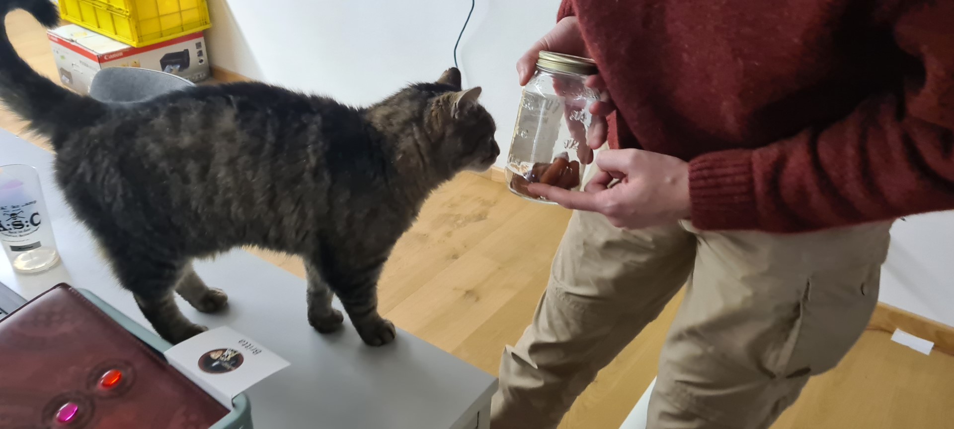 Buchenau_2022 (72).jpg